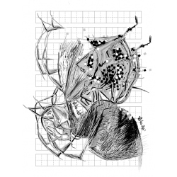 Wito.dot - Łuski 26'